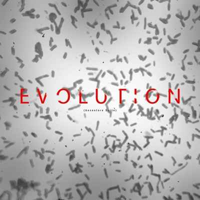 دانلود تک آهنگ (Evolution) اثری از حمیدرضا نیکوفر